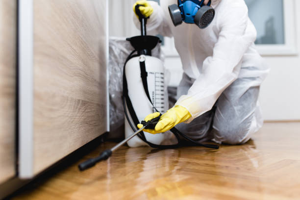 Best Exterminator Services  in Electra, TX