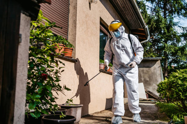 Reliable Electra, TX Pest Control Solutions
