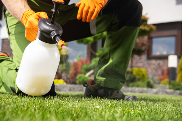 Best Affordable Pest Control Services  in Electra, TX