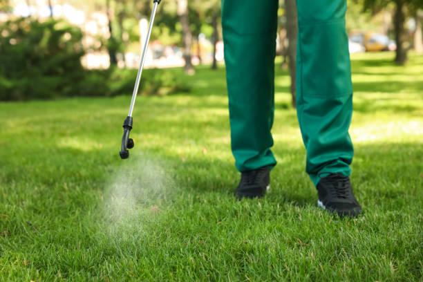 Best Wildlife Control Services  in Electra, TX