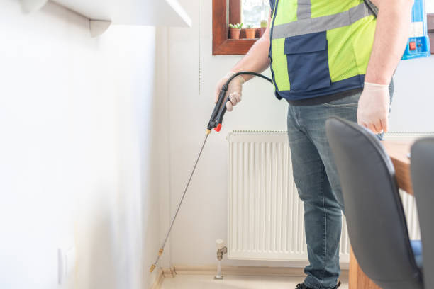Best Flea Control Services  in Electra, TX