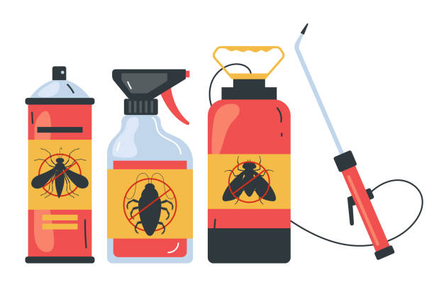 Best Insect Control  in Electra, TX
