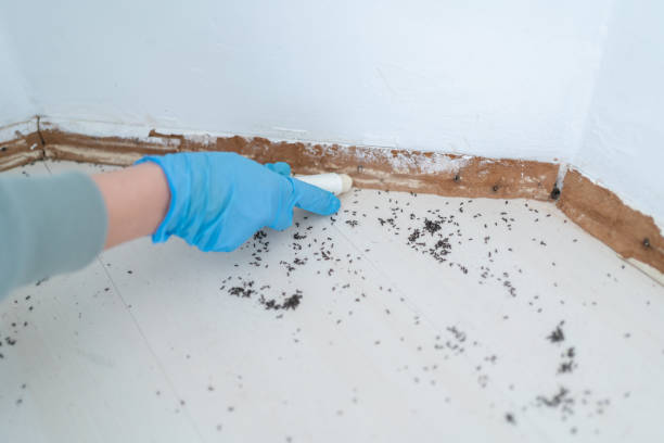 Best Commercial Pest Control Services  in Electra, TX