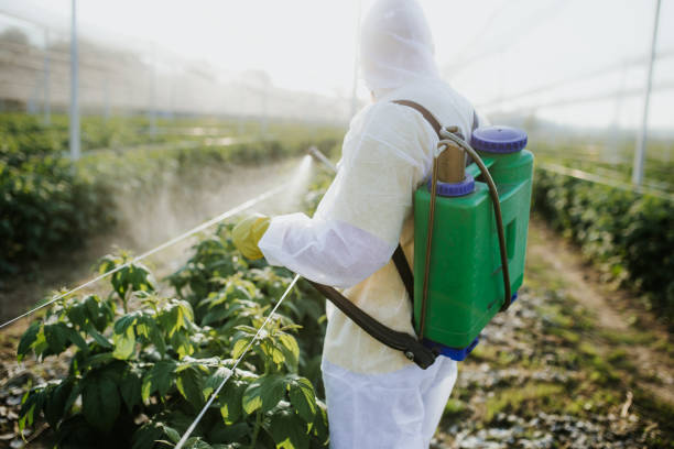 Best Cockroach Control Services  in Electra, TX